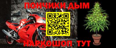 молекула духа Будённовск