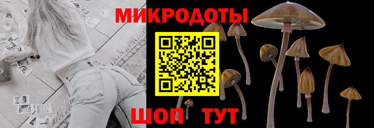 Псилоцибиновые грибы ЛСД  купить наркотики цена  Корсаков  Вход с VPN  Псилоцибиновые грибы GOLDEN TEACHER 